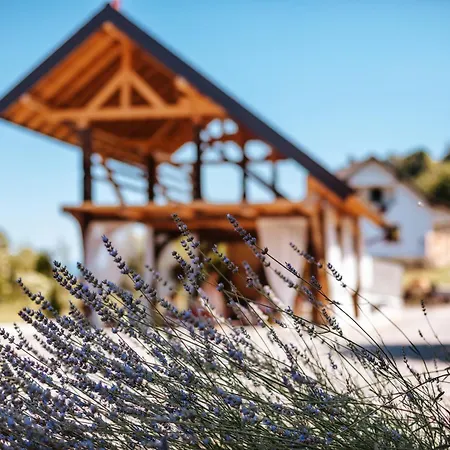 Sunset Spa Boutique Resort
