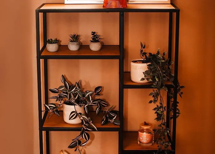 House Sunset Sentjernej