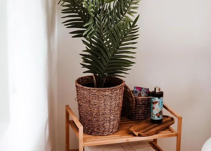 House Sunset Sentjernej